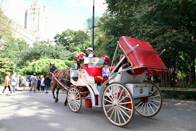 New York City: Central Park Private Horse-and-Carriage Ride - Cancellation Policy and Reviews