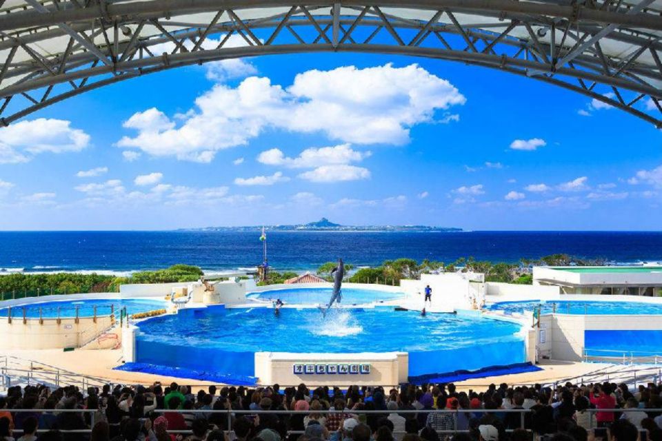 Okinawa Churaumi Aquarium Admission Ticket - Experience Highlights