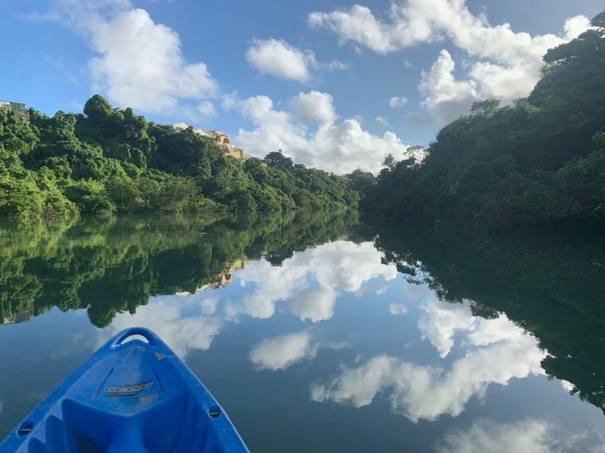 Okinawa: Mangrove Kayaking Tour - Booking Information
