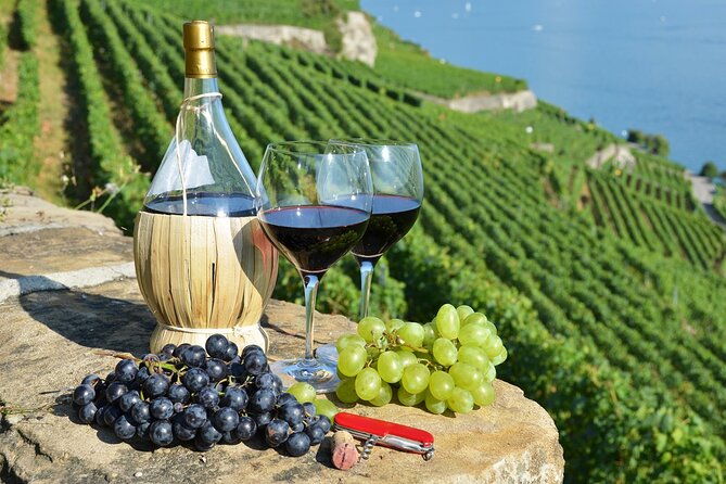 Peljesac Vineyards & Oysters - Private Day Trip From Dubrovnik-Mercedes Vehicle - Booking Details and Duration