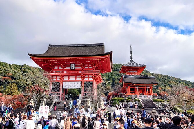 PERFECT KYOTO 1Day Bus Tour - Inclusions and Amenities
