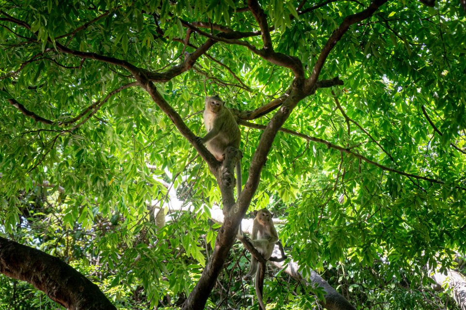 Phnom Penh: Phnom Oudong & Koh Chen Village - Lunch Include - Full Description