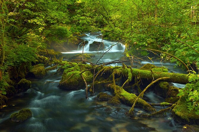 Plitvice Lakes Private Guided Walking Tour - Tour Highlights