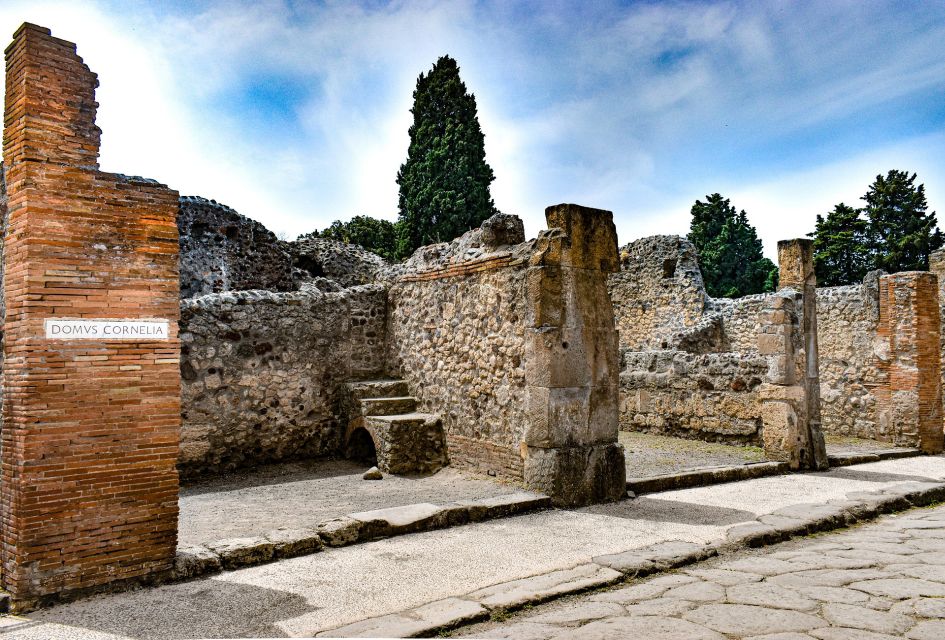 Pompeii: Skip-the-Line Ticket & Private Guided Walking Tour - Skip-the-Line Access