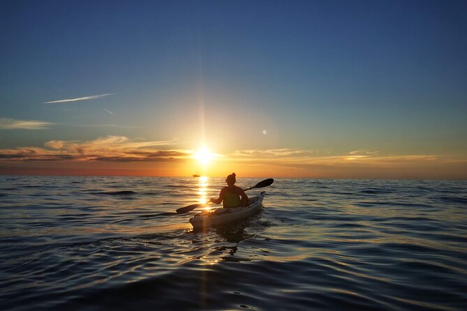 Poreč Sunset Sea Kayaking Tour - Wildlife Encounters
