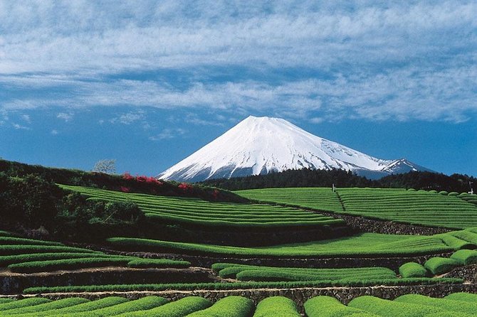 Port Pick-Up: Shizuoka Tour With Licensed Guide and Vehicle - Meeting and Pickup Details