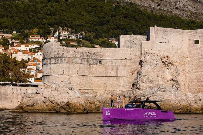 Premium Half-Day Blue Cave Tour From Dubrovnik Old Town - Customer Reviews and Satisfaction