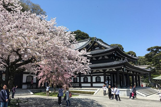 Private Car Tour to See Highlights of Kamakura, Enoshima, Yokohama From Tokyo - Reviews and Feedback Overview