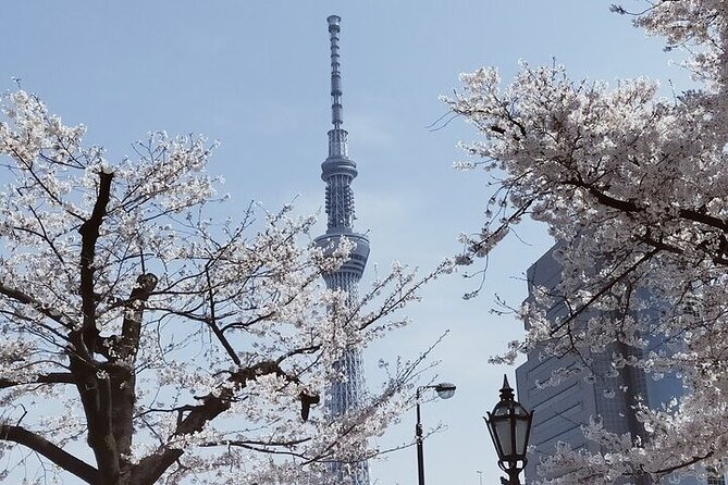Private Full-Day Cherry-Blossom Tour of Tokyo With Tsukiji - Meeting and Pickup Details