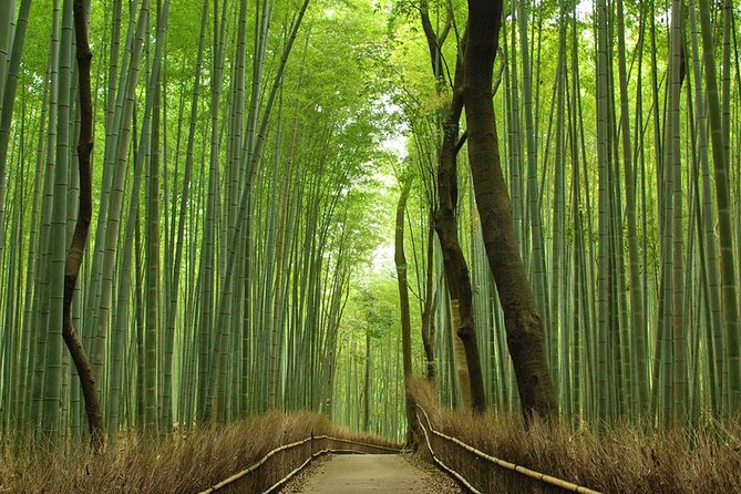 Private Kyoto Arashiyama Custom Half-Day Tour by Chartered Vehicle - Tour Duration and Inclusions