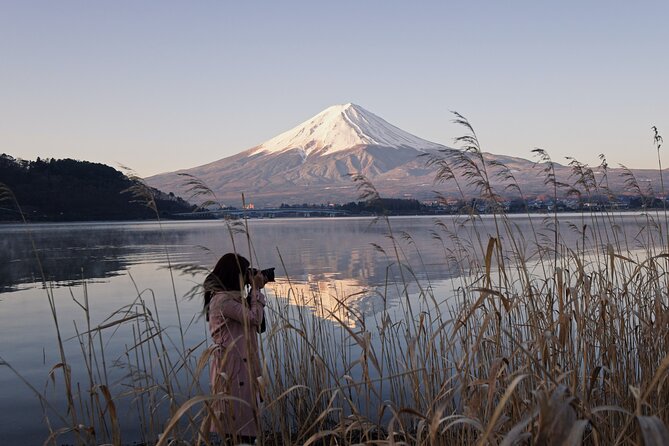 Private Mount Fuji Tour With English Speaking Chauffeur - Customer Reviews