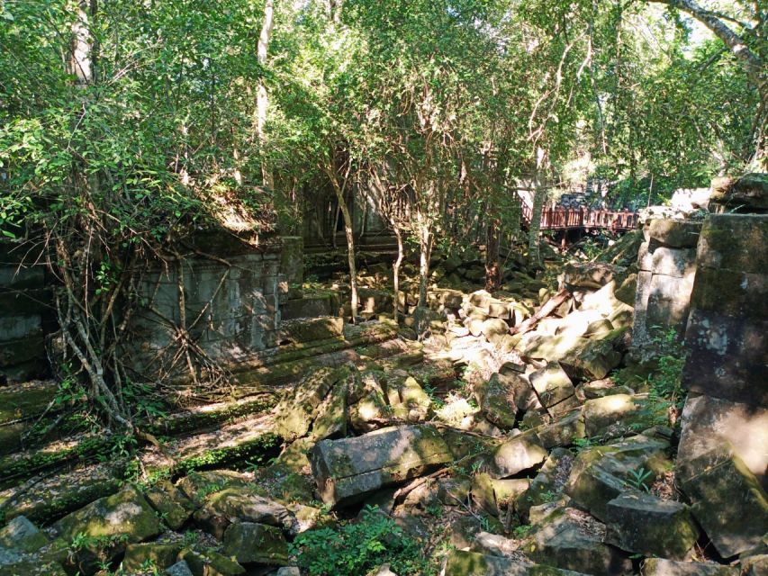 Private One Day Trip-Pyramid Temple Koh Ker and Beng Mealea - Tour Highlights