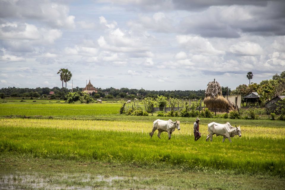 Private Transfer From Phnom Penh - Siem Reap - Travel Experience