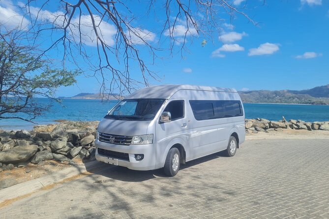 Private Transportation From Liberia Airport to Occidental Papagayo - Pickup Procedures