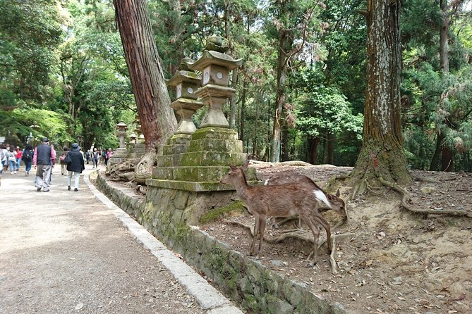 Relax in Nara: Deer Park, Todai-ji Temple and Merchants Town - Merchants Town: Cultural Delights