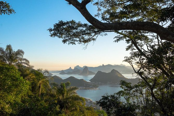 Rio Photo Tours - Full Day Customized Private Tour (7-8 Hours) - Contact Information