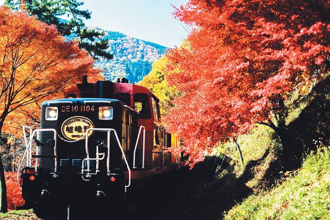 Sagano Romantic Train & Arashiyama, Kiyomizudera, Fushimi Inari Taisha Day Tour - Cancellation Policy