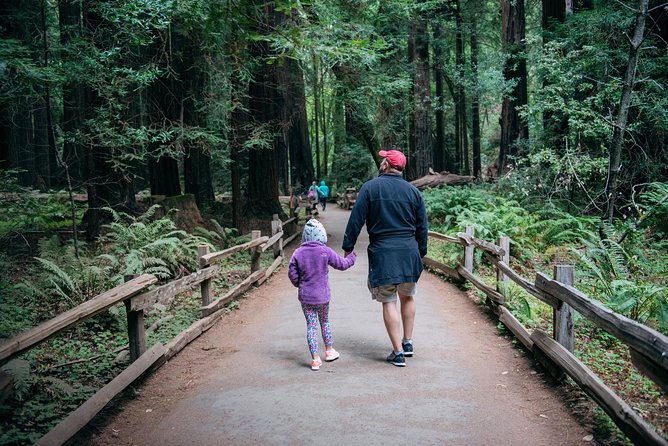 San Francisco Super Saver: Muir Woods & Wine Country W/ Optional Gourmet Lunch - Reasons for Choosing the Tour