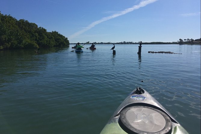 Sarasota Guided Mangrove Tunnel Kayak Tour - Inclusions