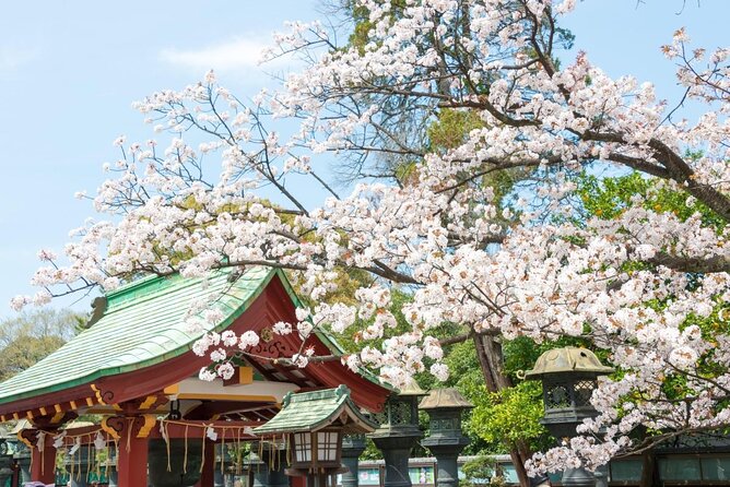 Secret Food Tours Tokyo W/ Private Tour Option - Booking Information