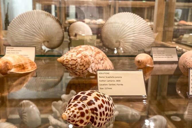 Shell Museum Private Guided Tour - Inclusions and Operator Details