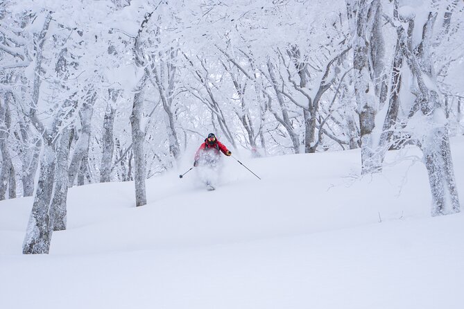 Ski or Snowboard Lesson in Shiga Kogen (4Hours) - Cancellation Policy
