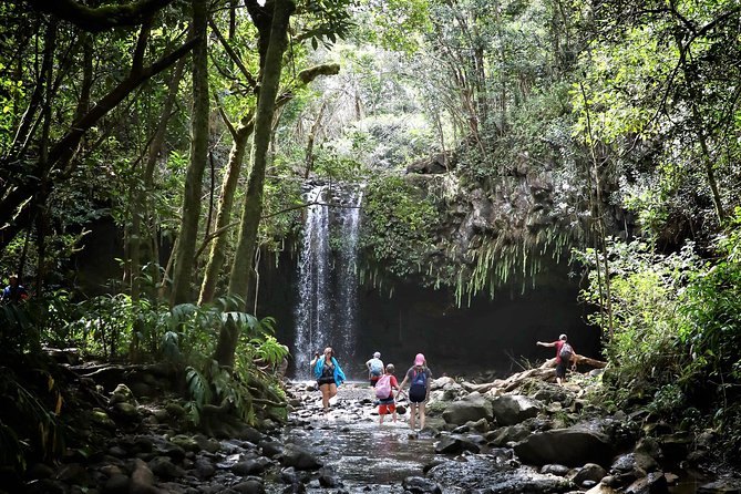 Small Group Waterfall and Rainforest Hiking Adventure on Maui - Customer Reviews and Highlights