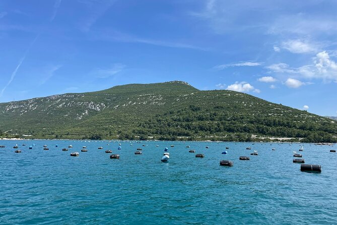 Ston Seafood & PelješAc Wine: Boat Tour With Oysters and Mussels - Wine Tasting Experience