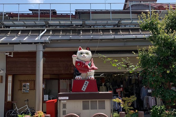 Takayama Old Town Walking Tour With Local Guide - Local Guide Expertise