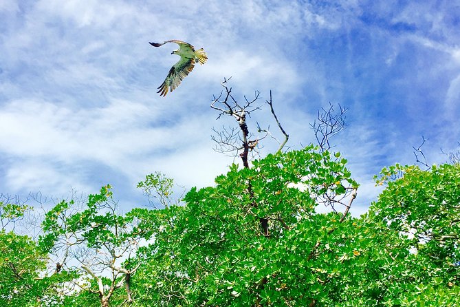 Ten Thousand Islands Boat Tour up to 12 People - Boat Tour Itinerary