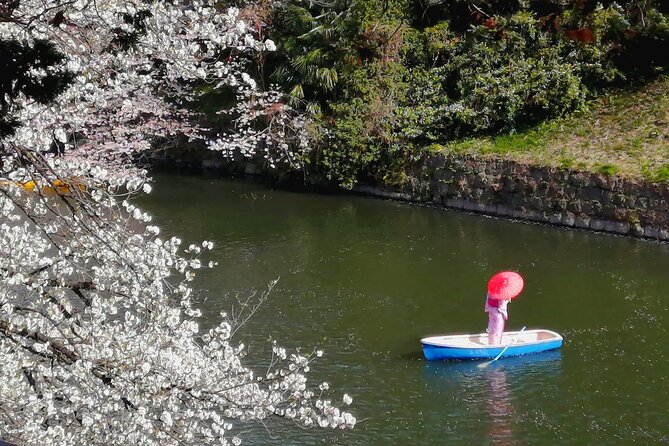 Tokyo Cherry Blossoms Blooming Spots E-Bike 3 Hour Tour - Pricing and Booking Information