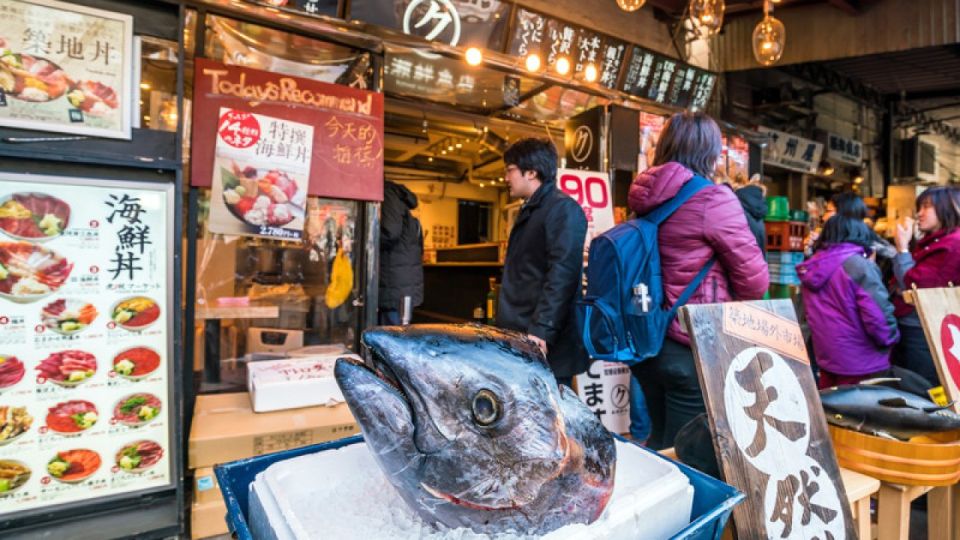 Tokyo: Food and Culture Private Guided Tour - Experience Highlights and Itinerary