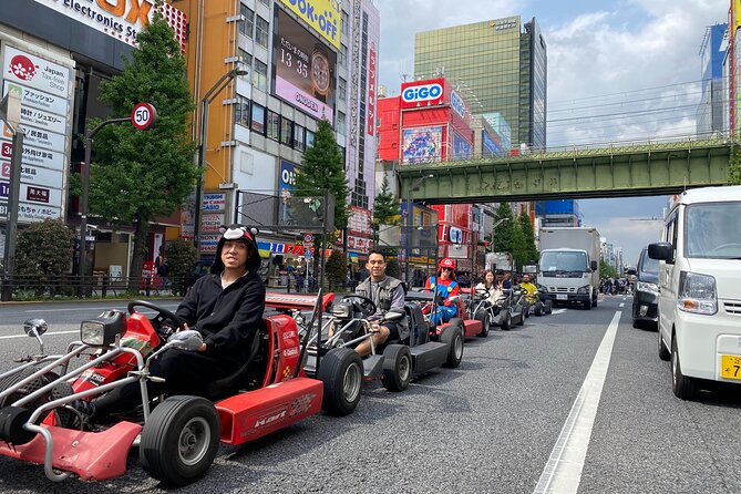 Tokyo Go-Kart Rental With Local Guide From Akihabara - Unique Experience Highlights
