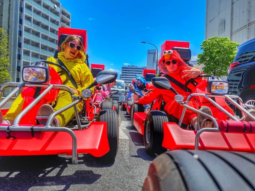 Tokyo: Guided Street Go-Karting Tour in Tokyo Bay - Experience Highlights