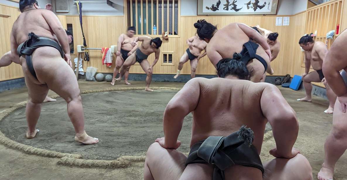 Tokyo: Morning Sumo Practice Viewing - Experience Highlights