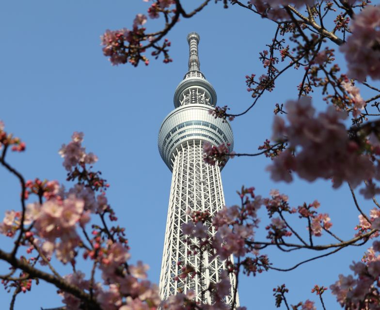Tokyo Skytree: Admission Ticket and Private Hotel Pickup - Experience Highlights