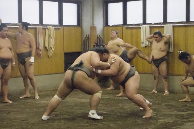 Tokyo Sumo Morning Practice Tour at Stable - Tour Experience
