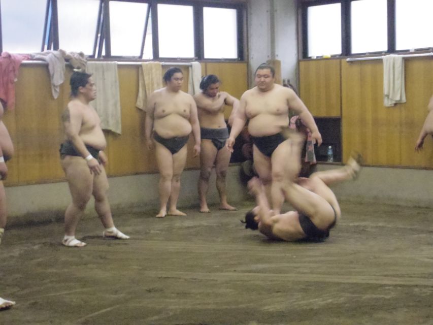 Tokyo: Sumo Morning Practice Viewing Tour - Review Summary