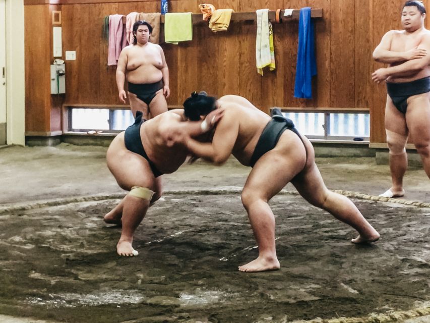 Tokyo: Sumo Morning Training Visit - Experience Highlights