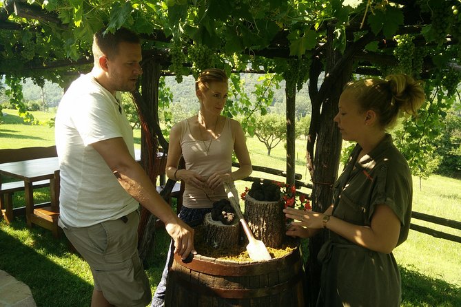 Truffle and Wine / Taste of Istria From POREC, ROVINJ, PULA - Truffle Hunt Experience With Guide
