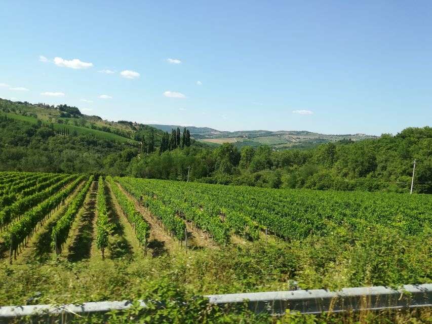 Tuscany: Full-Day Luxury Minivan Tour With Siena and Pisa - Inclusions and Logistics Details
