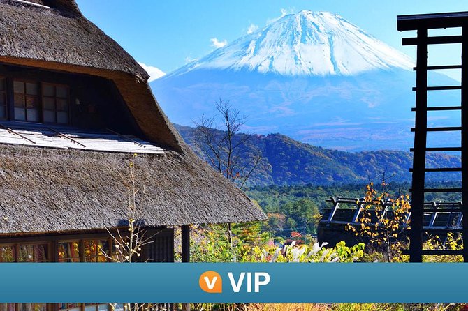 VIP: Mt Fuji Private Tour With Sengen Shrine Visit From Tokyo - Inclusions