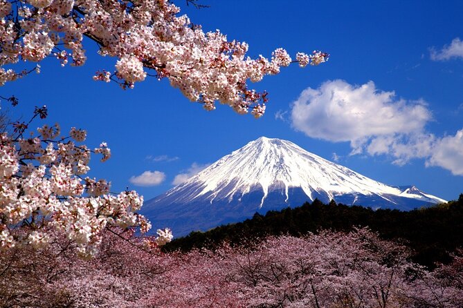 Virtual Tour to Discover Mount Fuji - Meeting and Pickup Details