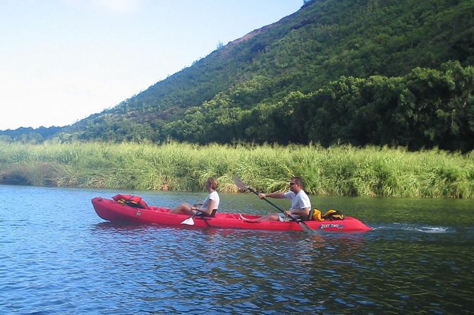 Wailua River and Secret Falls Kayak and Hiking Tour on Kauai - Tour Activities