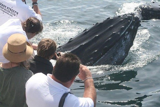 Whale Watching Tour in Gloucester - Cancellation Policy