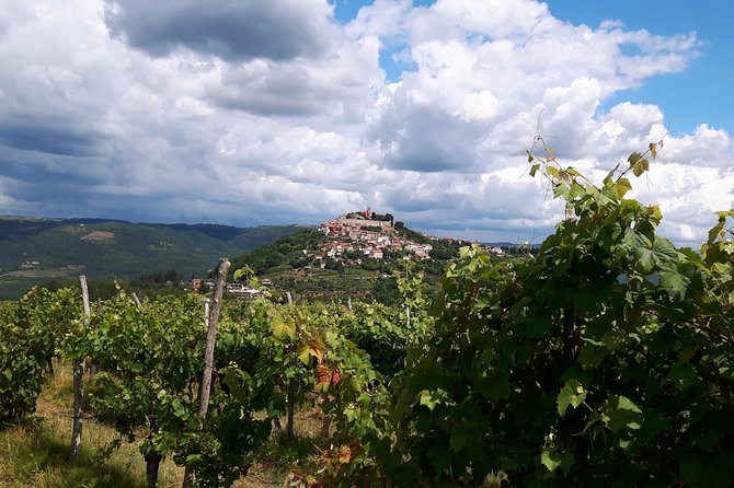 Wine Tour - The Best of Istria - Logistics and Meeting Details