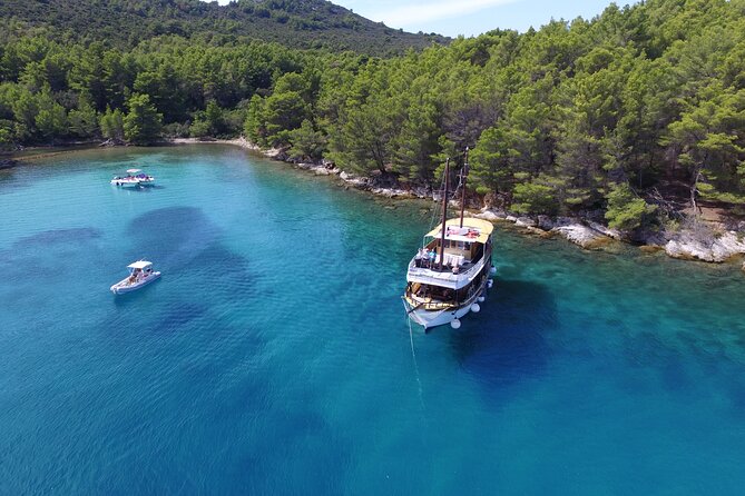 Zadar Fun Swim and Snorkel Short Day Trip @Rhythmexperience - Support and Assistance
