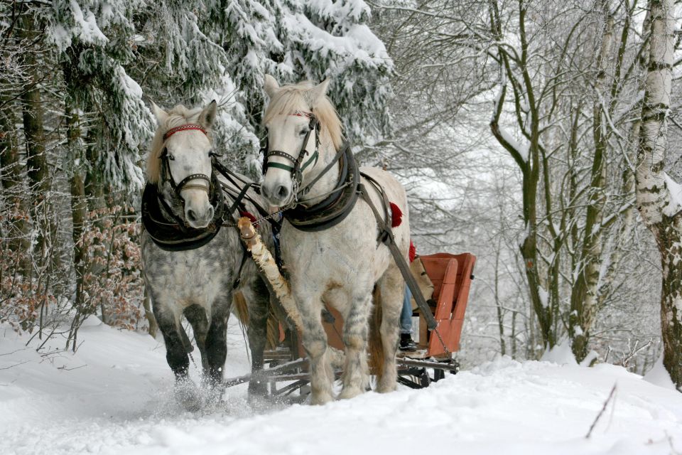 Zakopane: Horse-Drawn Rides With Local Guide & Food Tasting - Inclusive Pickup Service Details