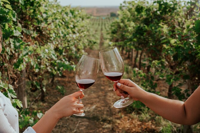 3-Hour Vineyard Wine Tour With Tasting - Just The Basics