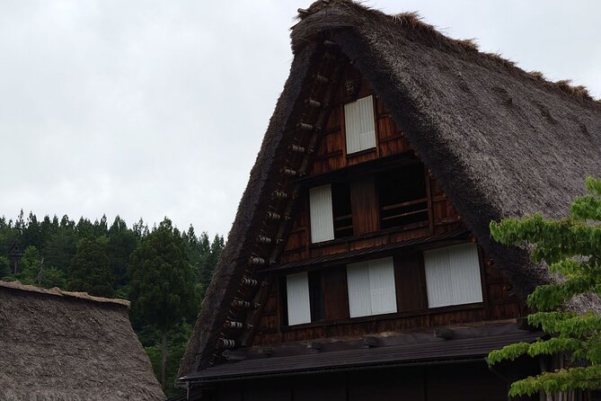 1-Day Takayama Tour: Explore Scenic Takayama and Shirakawago - Traveler Engagement Details